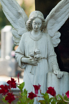 Closeup of stoned angel on tomb in cemetery
