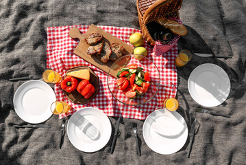 Food served for summer picnic on blanket outdoors, top view