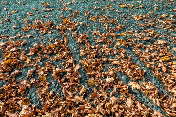 Laubschutz durch Netz Gewebe