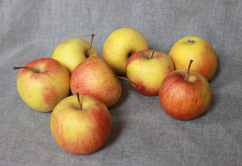 Several apples on gray fabric