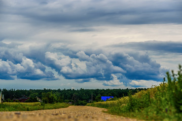 Fototapeta premium storm clouds over the forest