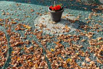 Laubschutz durch Netz Gewebe