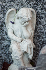 Closeup of stoned angel on tomb in cemetery