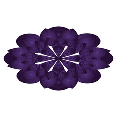 mandala icon image
