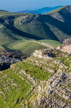 France, Pyrenees Atlantiques, Basque Country, Iraty massif, limestone pavement and free horses