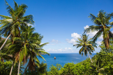 Rock called Fatu tue located in Hanaiapa Bay and Coconut Grove, Hiva Oa, Marquesas Islands, French Polynesia