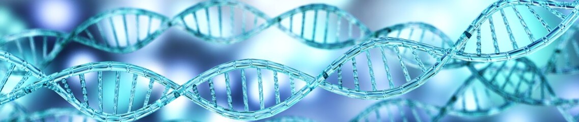 DNA helix, DNA, genes and chromosomes,
 - obrazy, fototapety, plakaty