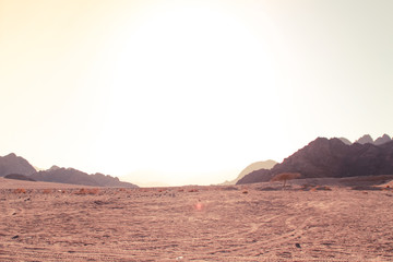 Fototapeta premium Desert in Egypt. Sharm el Sheikh. Sand and Sand Borkhan. Rock and sunset.