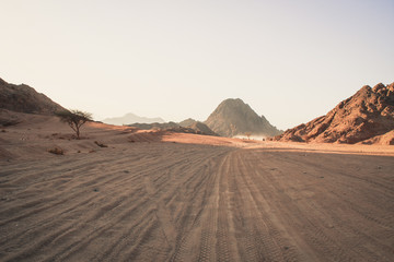 Fototapeta na wymiar Desert in Egypt. Sharm el Sheikh. Sand and Sand Borkhan. Rock and sunset.