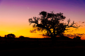 Fototapeta na wymiar A beautiful sunset, Sossusvlei, Namibia.
