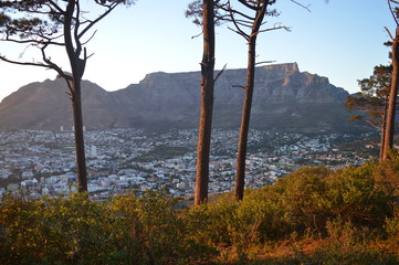 Fototapeta na wymiar Table Mountain Cape Town from Signal Hill at sunrise