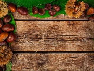 Frame of chestnuts, leaves and chestnut bur.