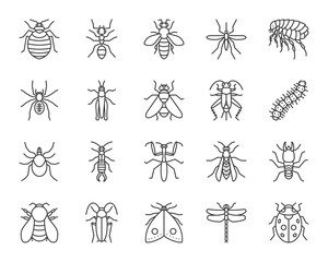 Danger Insect simple black line icons vector set