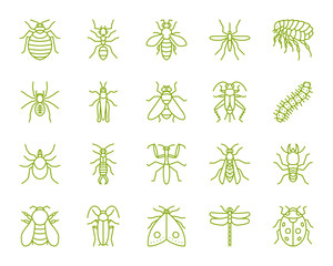 Danger Insect simple color line icons vector set