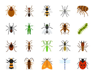 Danger Insect simple flat color icons vector set