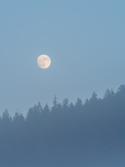 Vollmond im Winter über Wald
