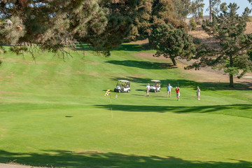 Four men are playing golf, They have two golf carts. The fairway is very green. Trees are in the background.