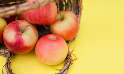apple in basket on yellow background composition and concept of autumn