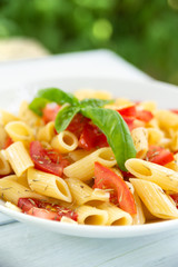 Piatto di penne con pomodoro fresco, olio di oliva, aglio, origano e basilico fresco, Mediterranean food