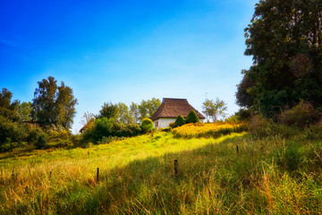 Reed roof house in a meadow with trees on the island Hiddensee. Germany, Mecklenburg-Vorpommern
