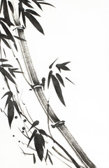 monochrome bamboo tree