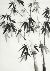 monochrome bamboo trees
