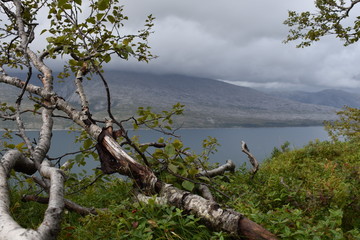 Nesna, Bratland, Fjord, Sjona, Norwegen, Nordland, Fv17, Fv 17, Küstenstraße, Kystriksveien,...
