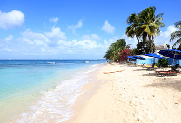 Fototapeta na wymiar Barbados - Karibik