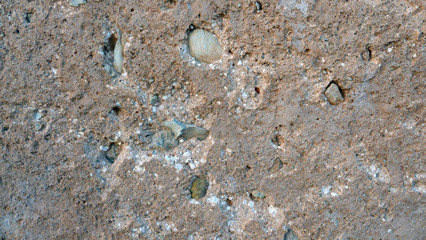 abstract texture grunge old brown wall