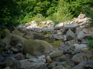 Rocky stream in a forest flowing between large stones and building shallow pools of water, quiet and relaxing in the sunny wilderness during summer