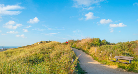 Sand dunes along the north sea coast below a blue sky in sunlight 