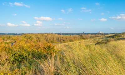 Sand dunes along the north sea coast below a blue sky in sunlight 