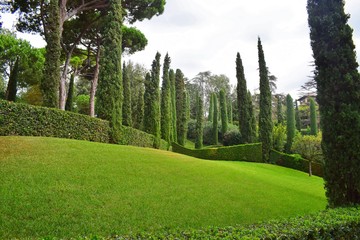 Beautiful landscaped Park with green grass and slender trees.