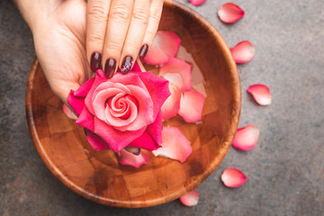 Obraz na płótnie Canvas Spa salon, Feminine hands with painted gel hybrid nails holding a rose flower above a bowl filled with water with rose petals. Nail care concept.