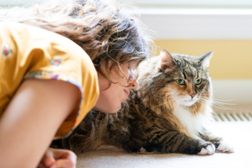 One young woman, female owner, person sitting, lying by maine coon cat on carpet floor, bonding, touching face, hair, petting, friends, friendship, companion by bright light window