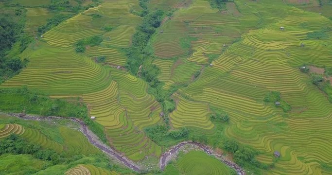 Vietnam landscapes with terraces rice field. Rice fields on terraced of Sapa, Lao Cai. Royalty high-quality free stock image of beautiful terrace rice fields prepare the harvest at Vietnam