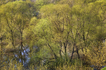 Landscape in Ryazan. Russia