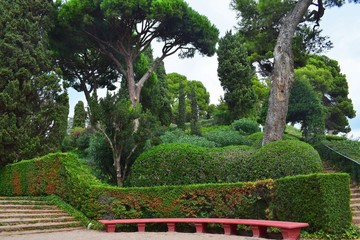 Bench in a beautiful landscaped Park with green grass and slender trees.