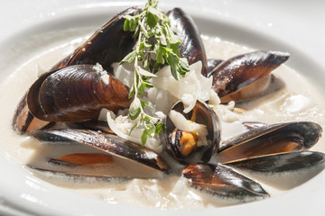  Delicious fresh Steamed Mussels © Shmel