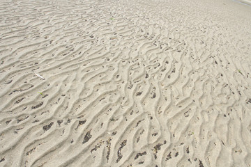 Ouddorp-Beach
