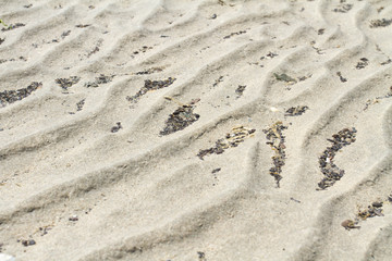 Ouddorp-Beach
