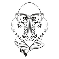 Hipster mandrill cool sketch