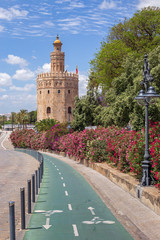Fototapeta na wymiar Torre del Oro, Sevilla