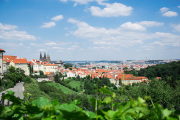 Fototapeta na wymiar Panoramic view of Prague