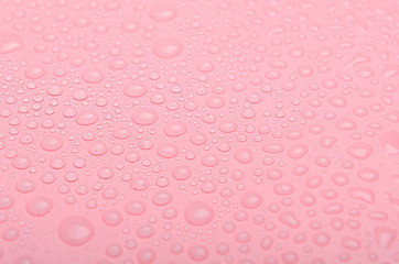 Water drops on a pink background. Close up