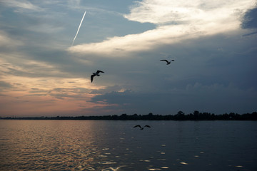 sunset on the river, beautiful sky, reflection in the water, seagulls