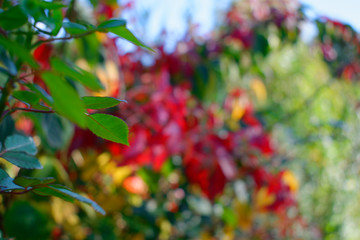 Der Herbst in Deutschland ist da