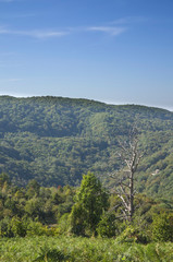 Fototapeta premium The mountains landscape