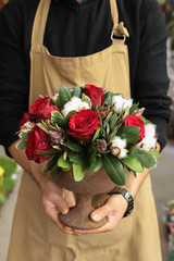 Naklejka premium Festive flower arrangement of red roses and cotton flowers in the vase florist holding at the flowers boutique.