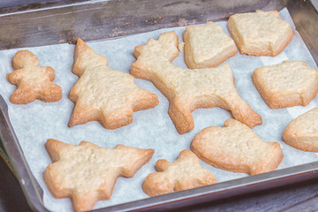 Festive Christmas cookies. Background from sand cookies in the shape of a Christmas tree, deer, man, mittens and a rabbit. Close up